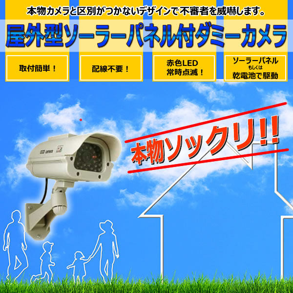 顼ѥͥեߡ