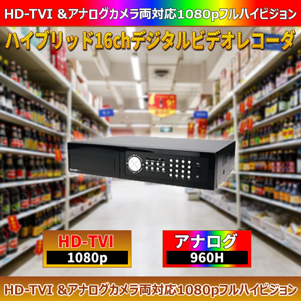 ϥ֥å16chǥӥǥ쥳2TB4TBǥ뤢