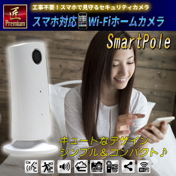 ޥб Wi-Fiۡ५ Smart Pole  