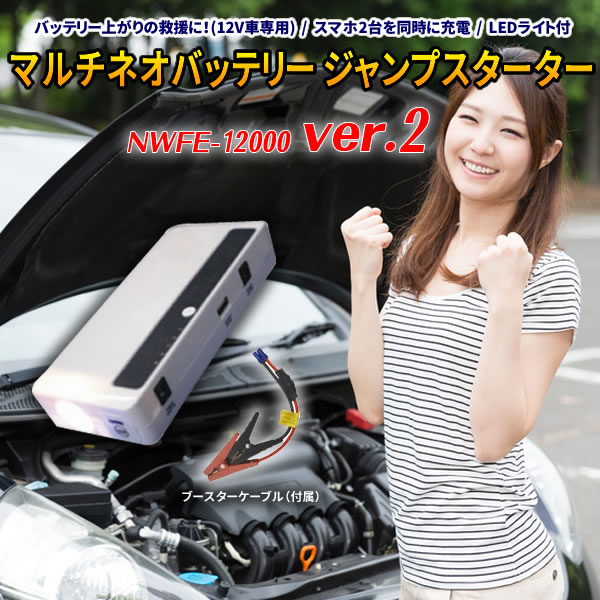 ޥͥХåƥ꡼ץ NWFE-12000